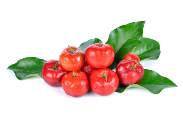 Barbados Cherry