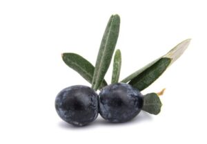 Arbequina-Olive