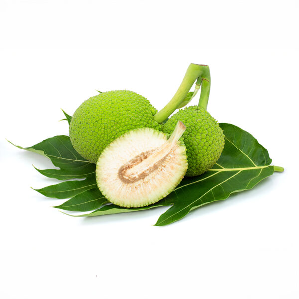 Breadfruit (Artocarpus altilis) Mature fruit sliced with leaf and isolated on white