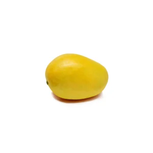 Edgar Mango