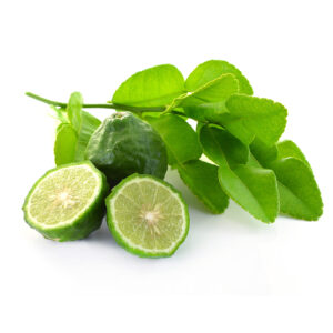 Kaffir Lime