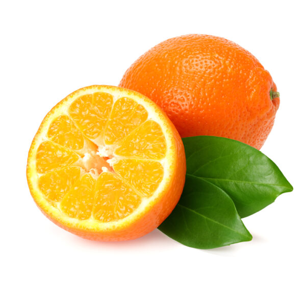 Minneola “Honeybell” Tangelo