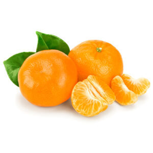 'Owari' Satsuma Mandarin