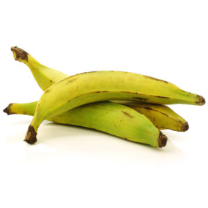 Puerto Rican Plantain (Musa × paradisiaca) Mature fruit isolated on white