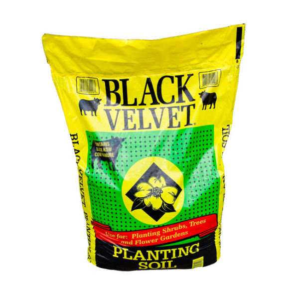 Black Velvet Planting Soil