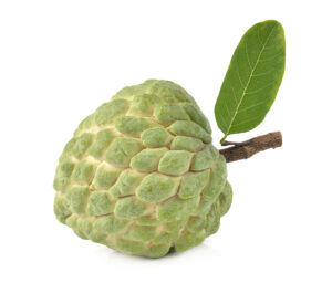 Thai Lessard Sugar Apple
