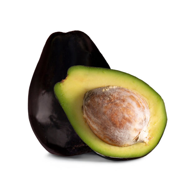Brogdon Avocado