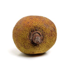 Cantaloupe Jackfruit