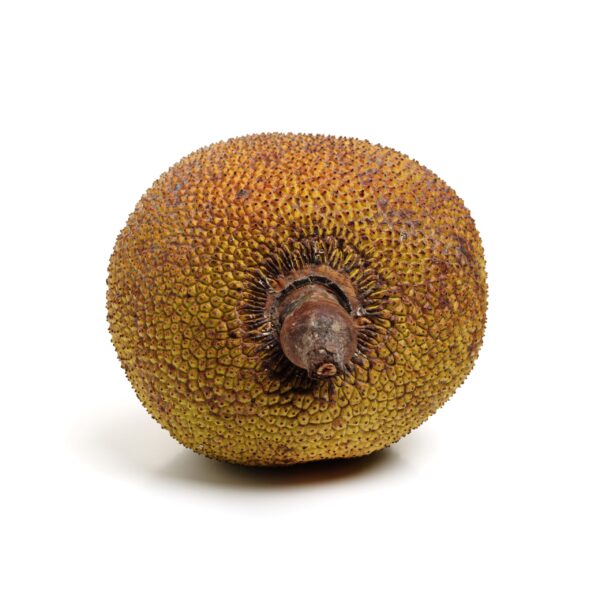 Cantaloupe Jackfruit