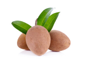 Alano Sapodilla