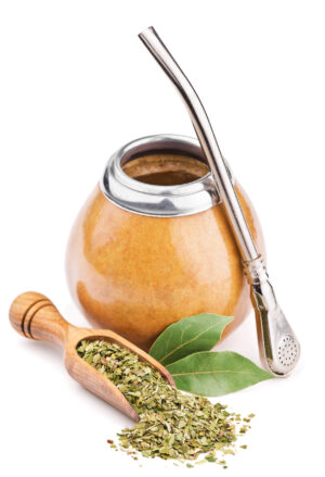 Yerba Mate