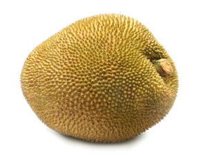 Cheena Jackfruit