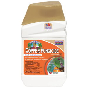Bonide 16oz Liquid Copper Fungicide
