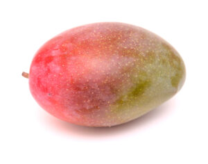 Lancetilla Mango