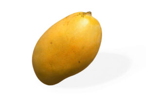 Mallika Mango