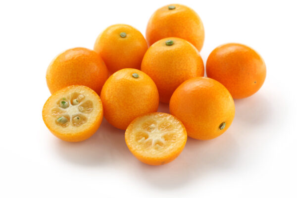 Meiwa Kumquat