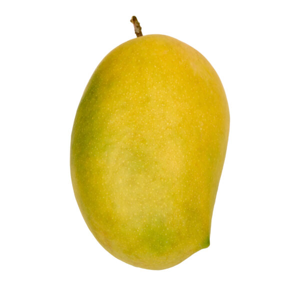 Kesar Mango