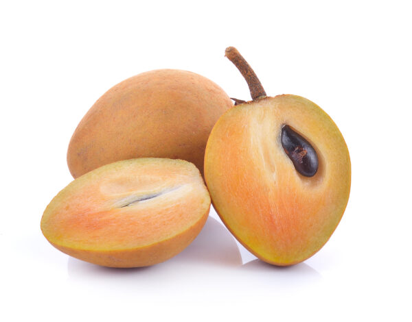 Morena Sapodilla