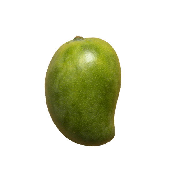 Neelum Mango