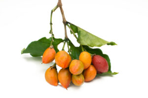 Peanut Butter Fruit