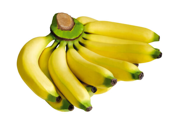 Gros Michel Banana