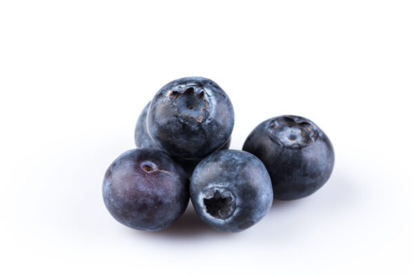 Sunshine Blue Blueberry