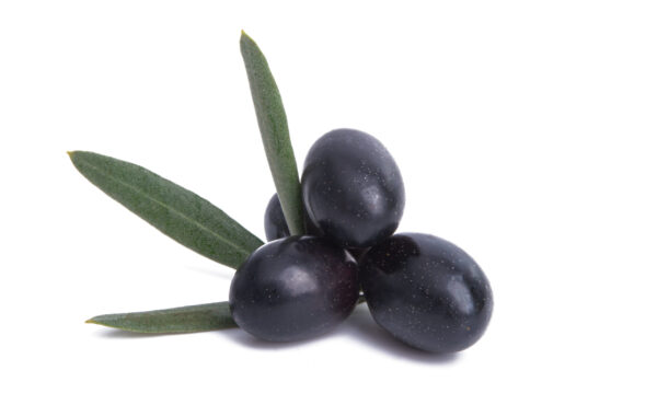 Mission Black Olive