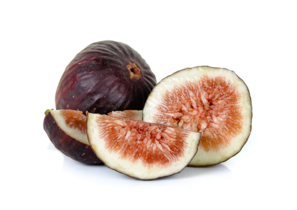 Violette de Bordeaux Fig