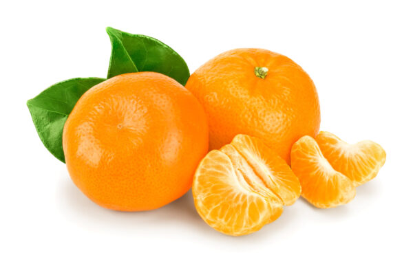 'Owari' Satsuma Mandarin (Florida Only)