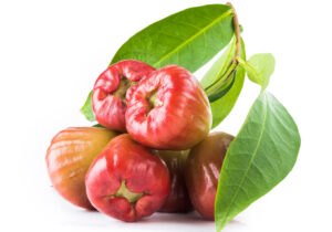 Red Wax Jambu