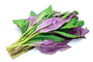 Okinawa Spinach