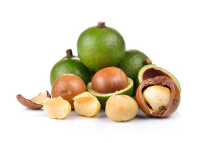 Macadamia Nut