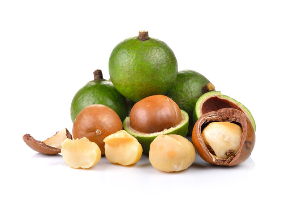 Macadamia Nut
