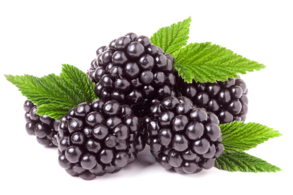 Von Blackberry