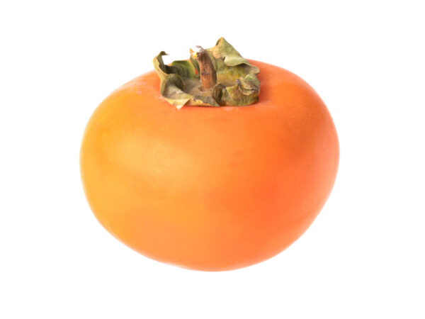 Fuyu 'Giant' Persimmon
