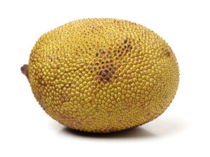 Gold Nugget Jackfruit