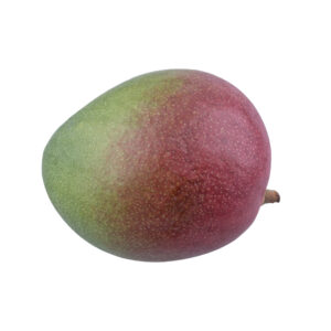 Fruit Punch Mango