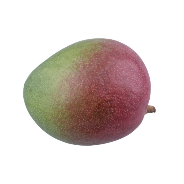 Fruit Punch Mango