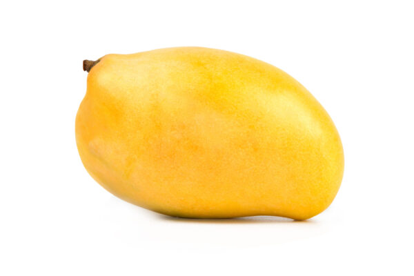 Karen Michelle Mango