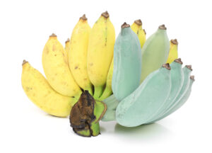 Blue Java (Ice Cream) Banana
