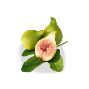 Kadota Fig