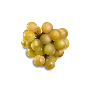 Carlos Grape