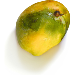 Ugly Betty Mango