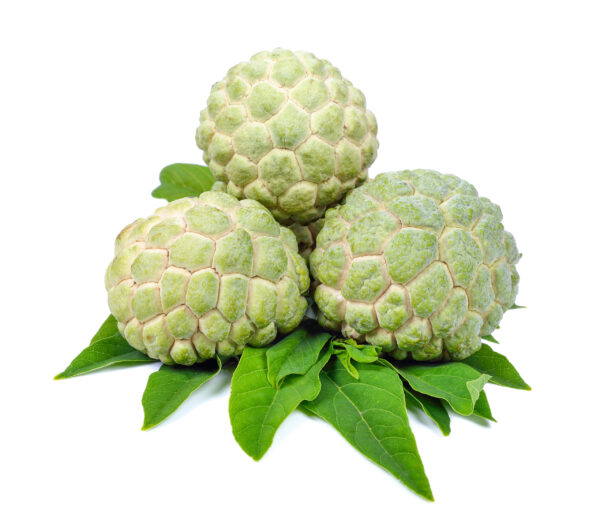 Na Dai Sugar Apple