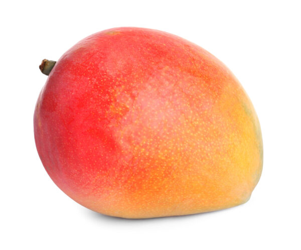 Van Dyke Mango