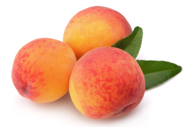 Florida Prince Peach