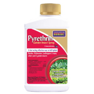 Pyrethrin Garden Spray Concentrate 16 oz