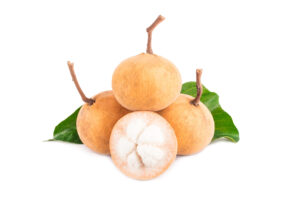 Santol