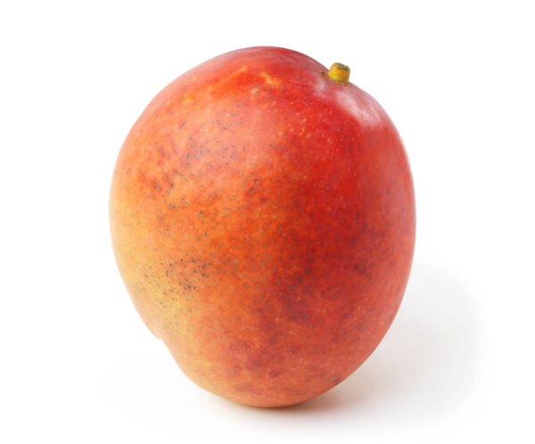 Kent Mango