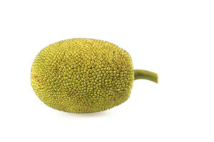 Honey Gold Jackfruit
